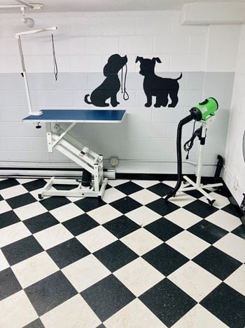 Dog wash station